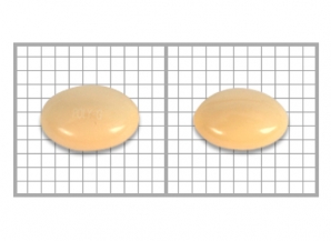 포리지질연질캡슐