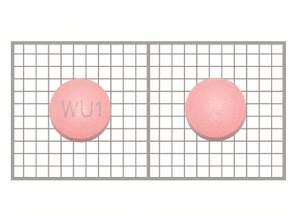 브로아제장용정
