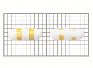  위더콕스캡슐200밀리그램